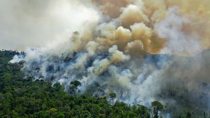 Un incendie en Amazonie, au Brésil, le 16 août 2020. (CARL DE SOUZA / AFP)