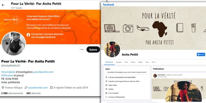 Captures d'écran des faux profils Twitter et Facebook d'Anita Pettit. (DR)