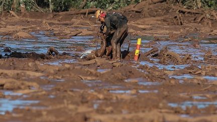 Des pompiers participent aux efforts de recherche et de sauvetage des victimes du barrage de la société Vale à Brumadinho, dans la municipalité de Minas Gerais, au Brésil, le 27 janvier 2019. (ANTONIO LACERDA / EFE / SIPA)