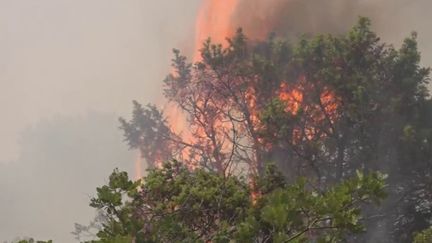 Incendies : la Drôme et l'Ardèche font face à plusieurs feux (FRANCE 2)