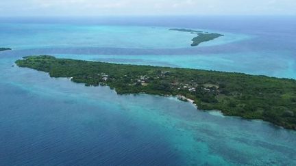 Tanzanie : la forêt de l'île de Kokota renaît grâce au travail d'un homme