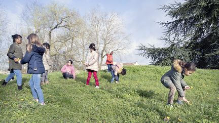 Dans un parc proche de l’école, des enfants d’une classe de primaire cherchent des pissenlits pour étudier avec leur professeur, à Poitiers (Vienne), le 30 mars 2024. (Image d'illustration) (JEAN-FRANCOIS FORT / HANS LUCAS)