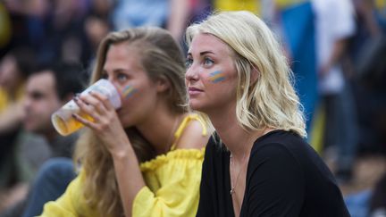 Supporters suédois (GEOFFROY VAN DER HASSELT / AFP)