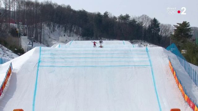 La chute du Français Terence Tchiknavorian en skicross