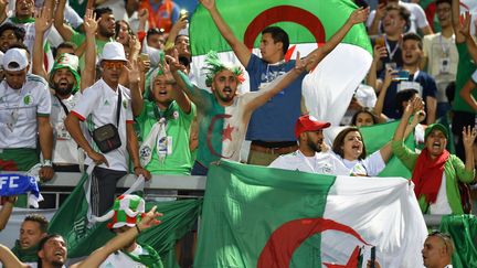 CAN : nuit de fête à Alger après le triomphe des Fennecs