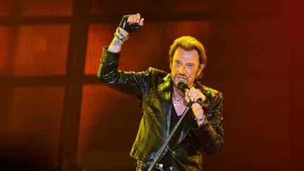 Johnny Hallyday à Bordeaux le 2 juin 2013. (NICOLAS TUCAT / AFP)