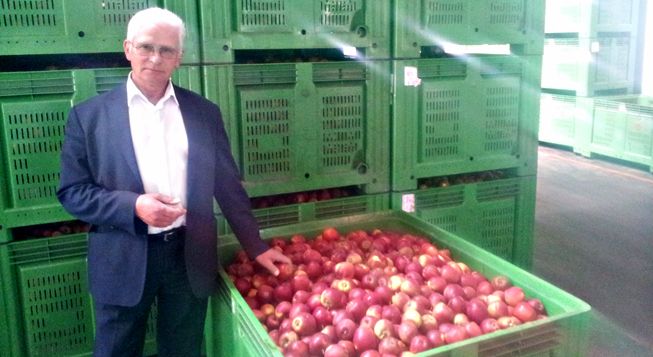 &nbsp; (Roman Cybulski, le patron du groupement de producteurs de pommes de Chynow © Radio France / Florent Guyotat)