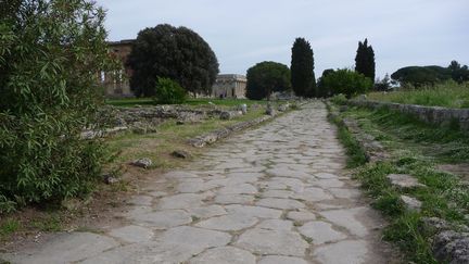 Le site archéologique de Paestum, au sud de Naples
 (Beate Schleep / Picture Alliance / MaxPPP)