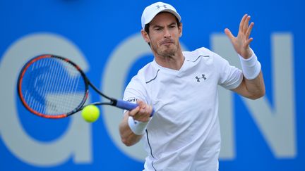 Andy Murray (GLYN KIRK / AFP)