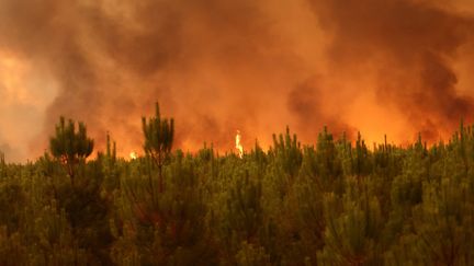 Un incendie sévit à Belin-Béliet (Gironde), le 10 août 2022.&nbsp; (MAXPPP)