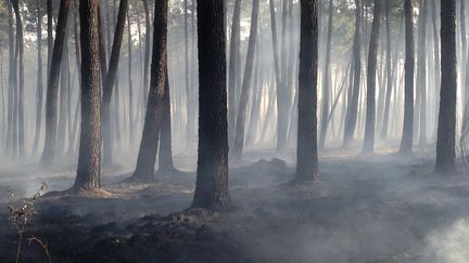 Incendie en Gironde : les pompiers ont lutté contre les flammes toute la nuit