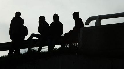 Des migrants patientent sur un pont au-dessus de l'autoroute, le 8 novembre 2015 à Calais (Pas-de-Calais). (MAXPPP)