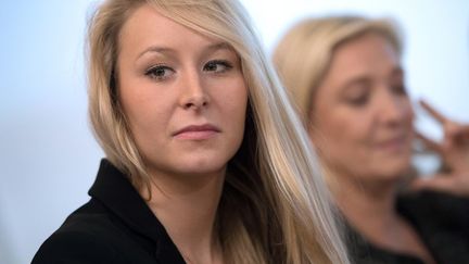 La d&eacute;put&eacute; FN du Vaucluse Marion Mar&eacute;chal-Le Pen lors d'une conf&eacute;rence de presse le 30 novembre 2013 &agrave; Mazan (Vaulcluse).&nbsp; (BERTRAND LANGLOIS / AFP)