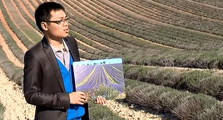 Les champs de lavande de Valensole prisés des touristes chinois
 (Capture d&#039;écran)