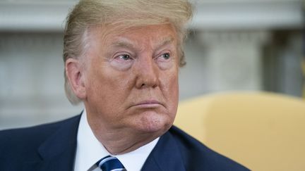 Donald Trump lors d'une rencontre avec le président canadien, à la Maison Blanche, le 20 juin 2019. (JIM LOSCALZO / CONSOLIDATED NEWS PHOTOS / AFP)