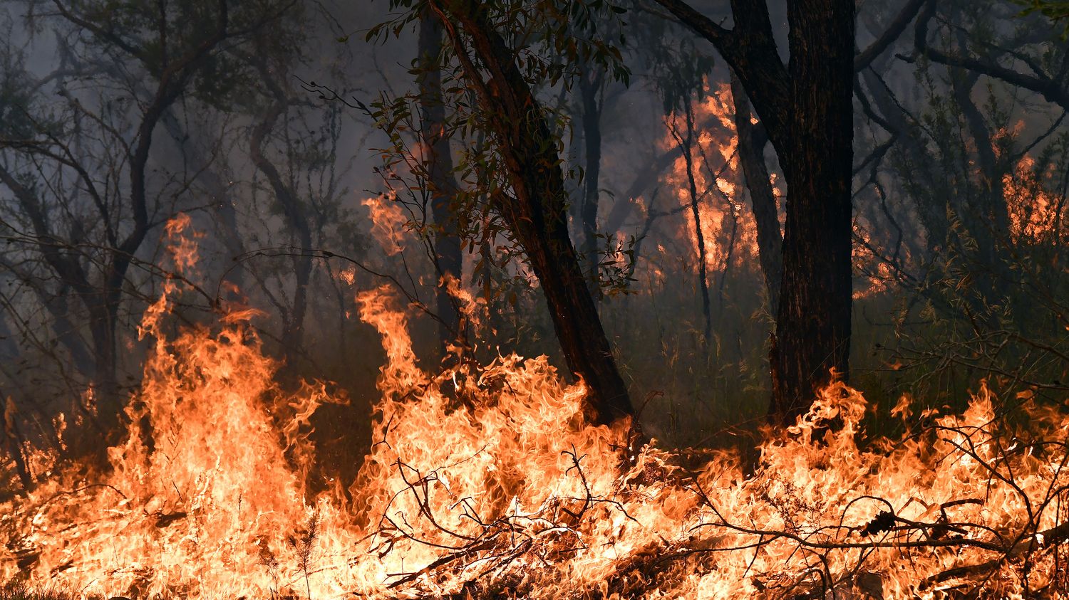 Changement climatique les "mégafeux" en Australie vontils devenir la norme