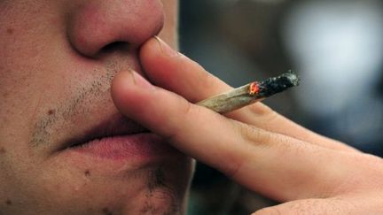 Le cannabis revient dans la campagne (AFP PHOTO / Martin BERNETTI)