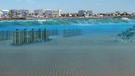 Visualisation 3D des atténuateurs de houle installés au large de la plage du Grau d'Agde.&nbsp; (France 3 Languedoc-Roussillon)