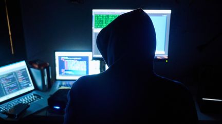 Le groupe cybercriminel Medusa réclame 95 000 euros de rançon (Illustration). (ANNETTE RIEDL / DPA)