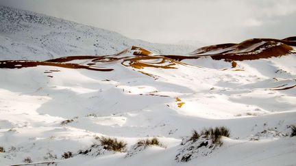 Les alentours de la ville d'Aïn Sefra en Algérie, le 21 janvier 2017. (Geoff Robinson / SIPA)