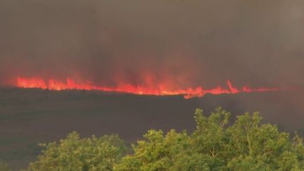 Incendies : des conséquences écologiques désastreuses