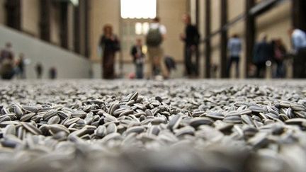 &quot;Sunflower Seeds&quot;, installation d&#039;Ai Weiwei constituée de millions de graines de tournesol, à la Tate Modern de Londres (octobre 2010)
 (Leon Neal / AFP)