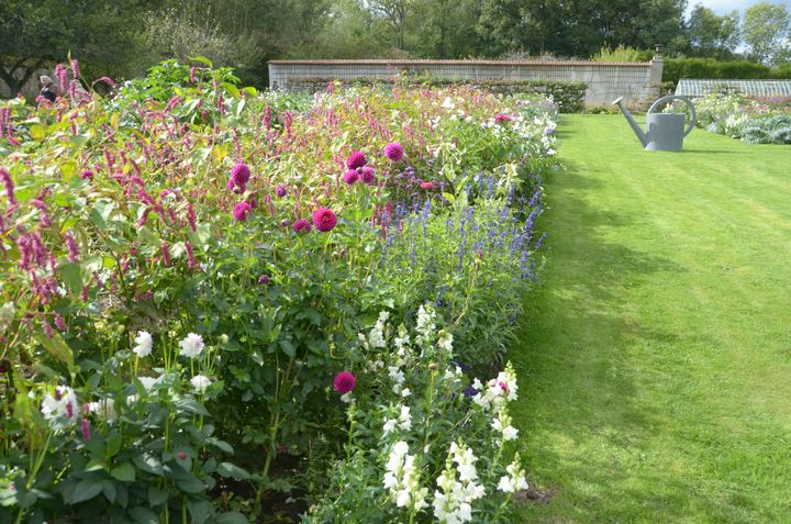 Le potager à la française du château de Saint-Jean de Beauregard, dans l'Essonne. (ISABELLE MORAND / DIMITRI KALIORIS / RADIO FRANCE / FRANCE INFO)