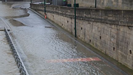 Une crue de la Seine, à Paris, samedi 20 janvier 2018.&nbsp; (ALPHACIT NEWIM / CROWDSPARK / AFP)