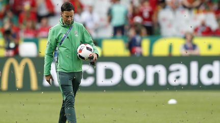 L'arbitre de la finale de l'Euro 2016, Mark Clattenburg, entouré par des papillons de nuit avant le match, dimanche 10 juillet 2016. (CARL RECINE / LIVEPIC / REUTERS)