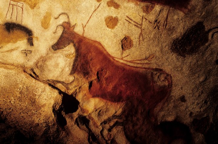 La "vache rouge" de la grotte de Lascaux. (DOZIER MARC / AFP)