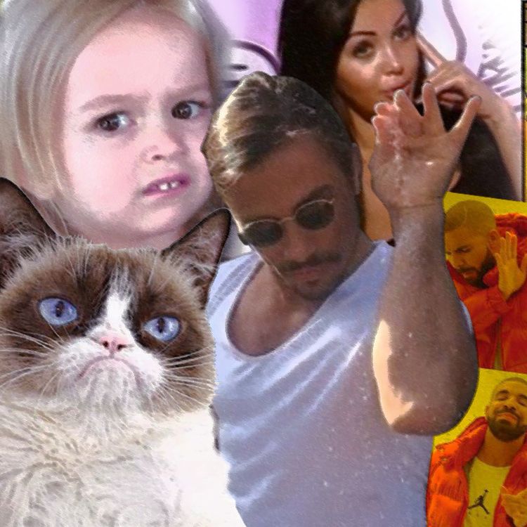 Grumpy Cat Bob L Eponge Salt Bae On Vous Raconte Les Histoires De 10 Memes Qui Ont Marque Les Annees 10