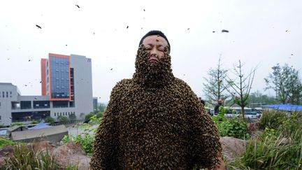 She Ping, un autre apiculteur chinois &agrave;&nbsp;Chongqing, le 18 avril 2012 avec 331 000 abeilles sur le corps&nbsp; ( CHINA DAILY / REUTERS)