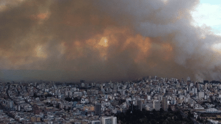 Incendies en Équateur : les flammes toujours aux portes de la capitale