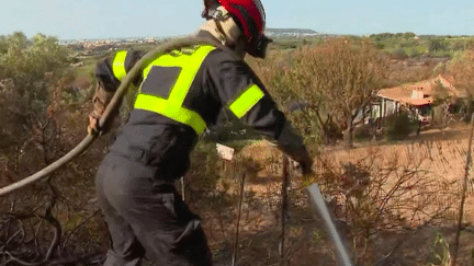 Incendies : risque maximal dans le sud de la France