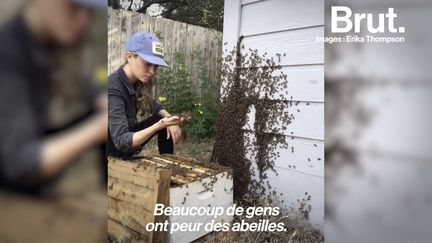 Au quotidien, Erika Thompson vient au secours des abeilles et veille à transmettre sa passion pour cet insecte bien plus utile qu'on ne pourrait le penser...