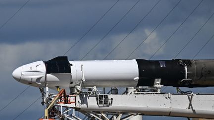 A SpaceX Falcon 9 rocket launches at Cape Canaveral, Florida, on August 27, 2024. (CHANDAN KHANNA / AFP)