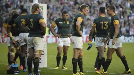 Les Springboks (LIONEL BONAVENTURE / AFP)