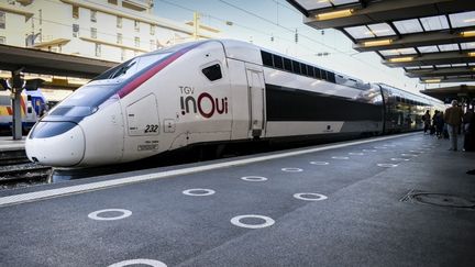 Un TGV Inoui, le 6 octobre 2021 à Toulon (Var). (MAGALI COHEN / HANS LUCAS / AFP)