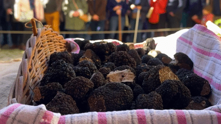 Gastronomie : ruée vers l'or noir au marché aux truffes de Noyers-sur-Serein (France 2)