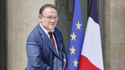 Damien Abad, le ministre des Solidarités, sur le perron de l'Elysée, à Paris, le 14 juin 2022. (LUDOVIC MARIN / AFP)