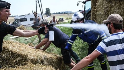Un gendarme asperge de gaz lacrymogène un agriculteur, aux abords d'une étape du Tour de France, le 24 juillet 2018. (JEFF PACHOUD / AFP)