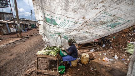 Malgré ce problème, Nairobi reste un hub économique et plusieurs start-up voyant là des opportunités s’appuient sur le système informel existant, tant dans la collecte que dans la récupération, pour valoriser et faire circuler les déchets. Parmi ces start-up, Mr. Green Africa veut voir "le plastique comme une matière première, qui peut entrer dans un circuit formel et qui peut être profitable", explique son créateur, le citoyen suisse Keiran Smith.&nbsp; &nbsp; (DONWILSON ODHIAMBO / SOPA IMAGES / SIPA)