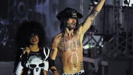 Shaka Ponk en concert à la Rochelle, juillet 2014
 (XAVIER LEOTY / AFP)