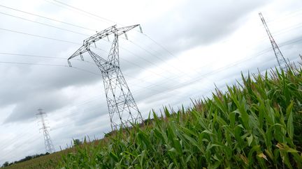 Lignes électriques à haute-tension dans le Puy-de-Dôme (photo d'illustration) (THIERRY LARRET / MAXPPP)