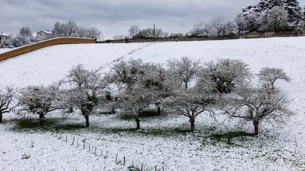 La neige est tombée à Lyon, le 1er avril 2022. (SABINE GREPPO / HANS LUCAS / AFP)