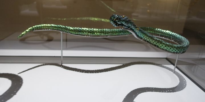 Collier Mamba de David Bielander, 2012
 (Corinne Jeammet)