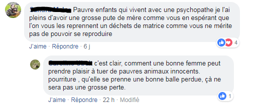 Capture d'écran de messages reçus sur Facebook par Isabelle Méziéres sous la photo de son fils. (FACEBOOK)