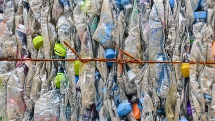 Des déchets de bouteilles en plastique dans la province de Ranong, dans le sud de la Thaïlande, le 23 septembre 2024. (MANAN VATSYAYANA / AFP)