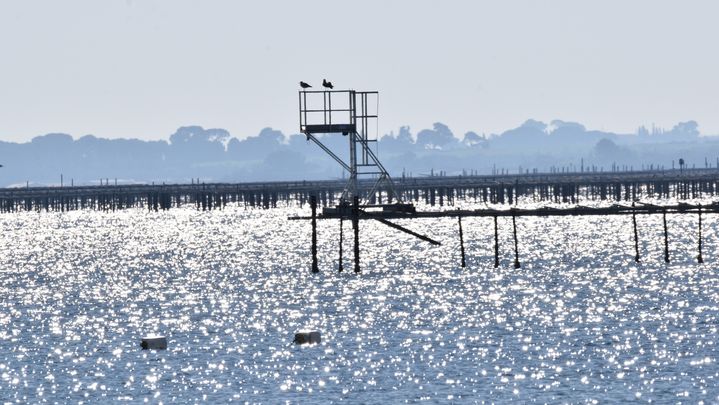 Étang de Thau, petite tourelle de surveillance des parcs à huîtres.&nbsp;L'étang de Thau relié à la mer Méditerranée est le plus grand plan d'eau de la région Occitanie.&nbsp; (P. EOCHE / PHOTODISC / GETTY IMAGES)