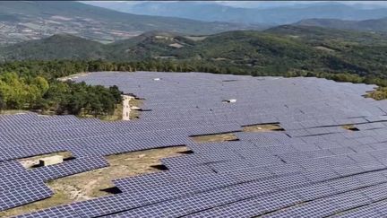 Panneaux solaires : les parcs photovoltaïques installés à la place de forêts font polémique (France 2)